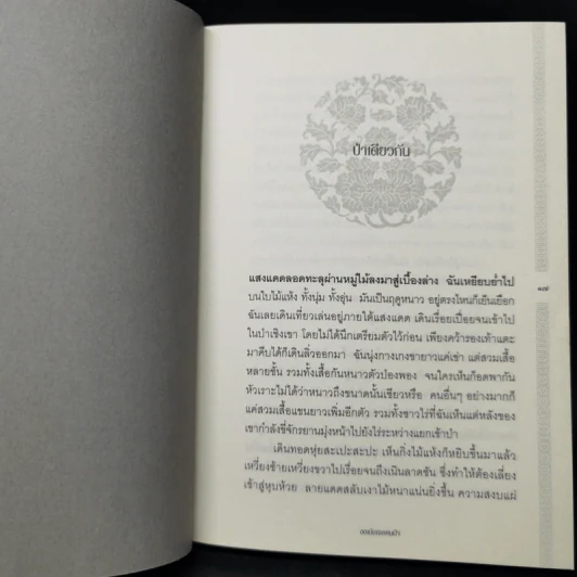 ขงเบ้งเจอคนบ้า - เอื้อ อัญชลี รูปที่ 9