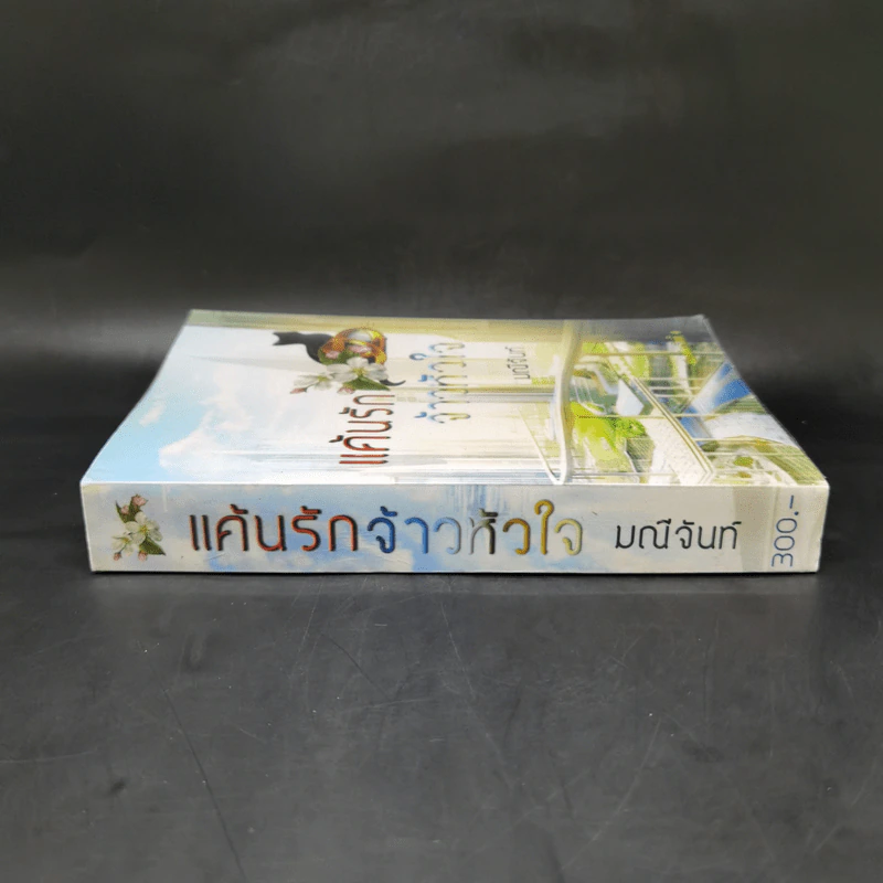 แค้นรักจ้าวหัวใจ - มณีจันท์ รูปที่ 3