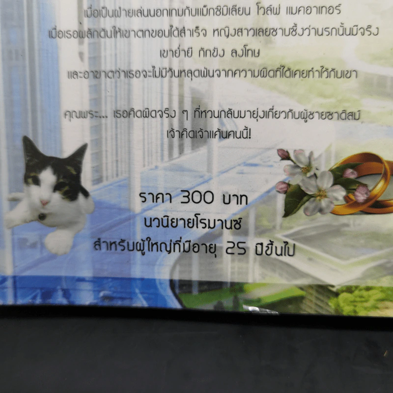 แค้นรักจ้าวหัวใจ - มณีจันท์ รูปที่ 11