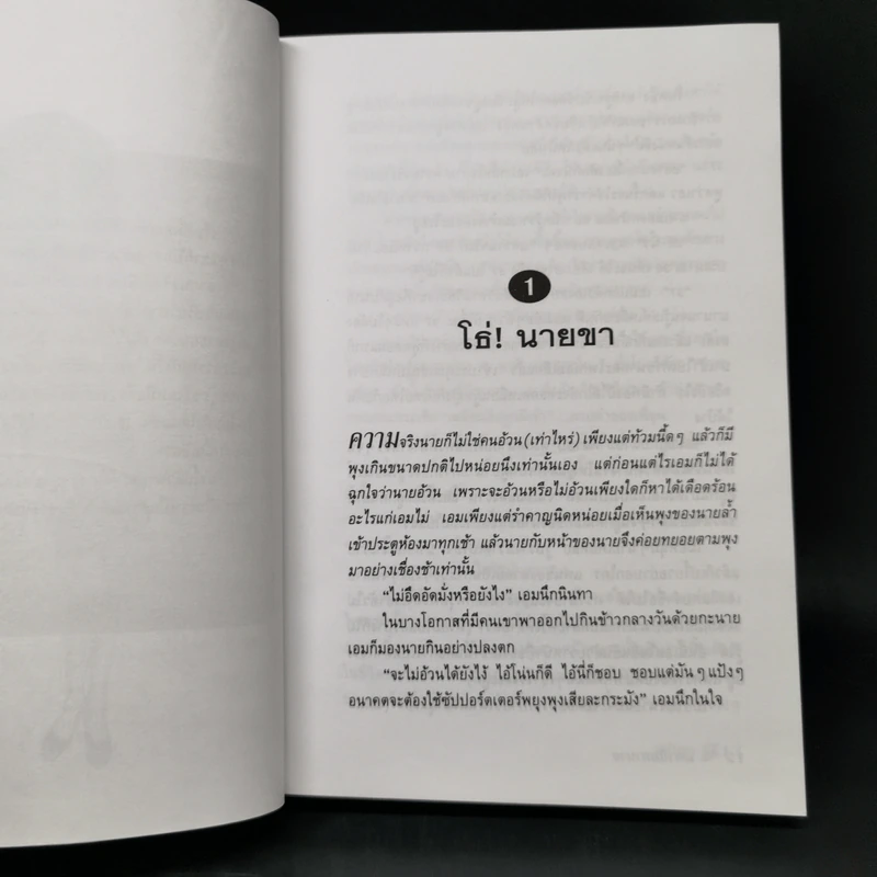 เลขานินทานาย - มนันยา รูปที่ 9