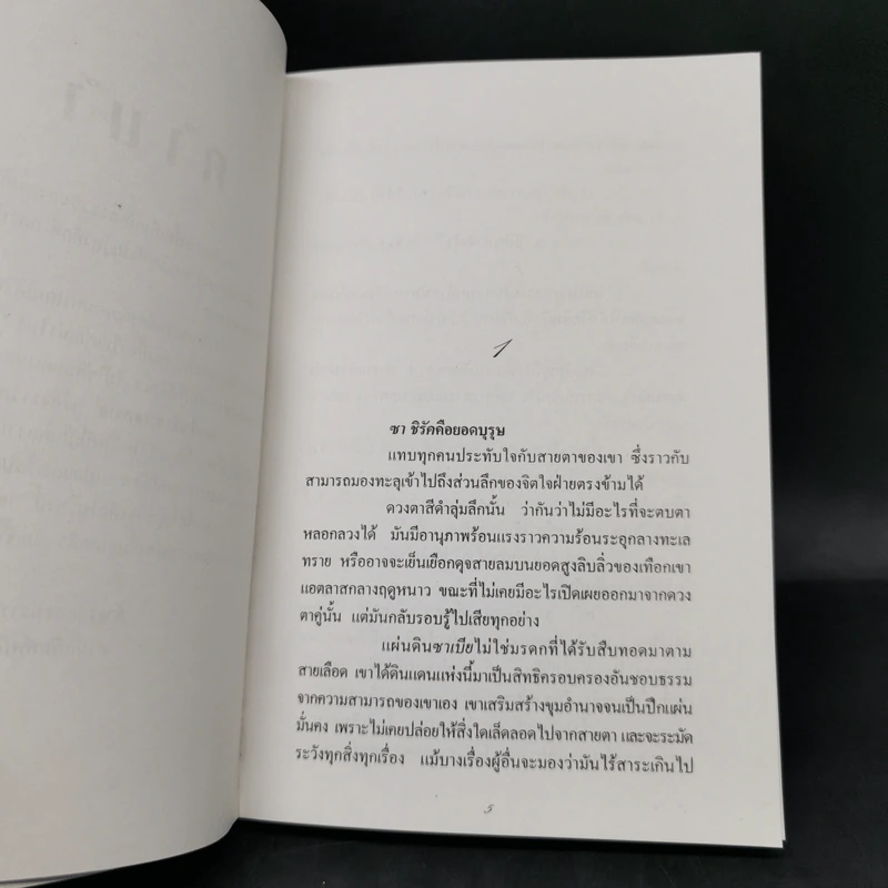 จอมใจเจ้าทะเลทราย - จินตา รูปที่ 10