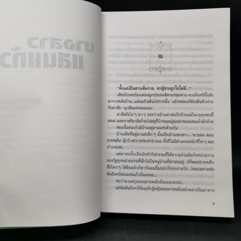 นางสาวแสนแก้ว ภาค 2 ของคุณพ่อจอมซ่าส์ - กันยามาส รูปที่ 9