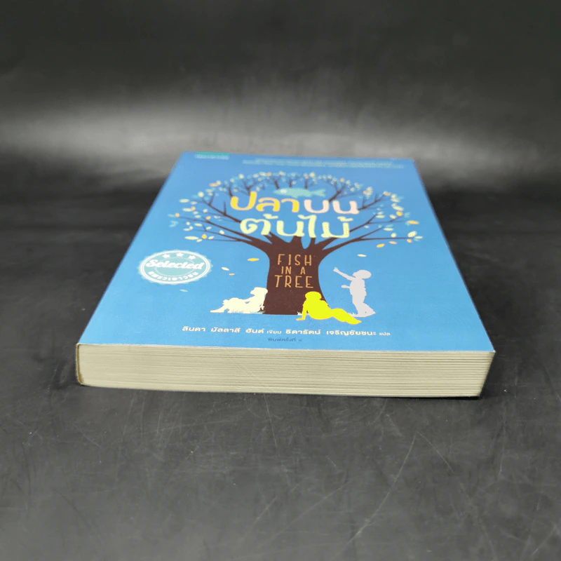 ปลาบนต้นไม้ - Lynda Mullaly Hunt (ลินดา มัลลาลี ฮันต์) รูปที่ 4
