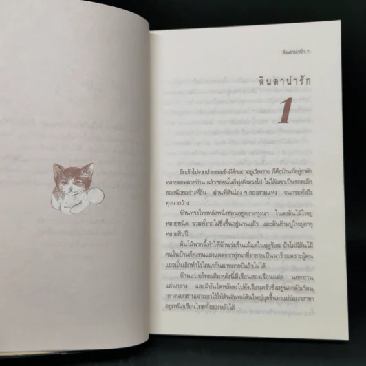 ลินลาน่ารัก - ว.วินิจฉัยกุล รูปที่ 9