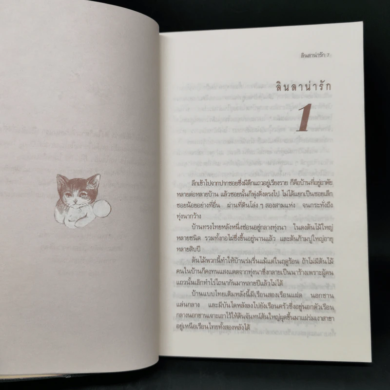 ลินลาน่ารัก - ว.วินิจฉัยกุล รูปที่ 9