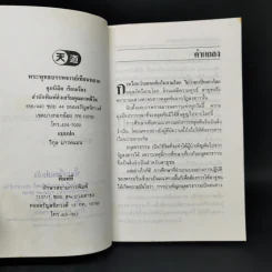 พระพุทธบรรพจารย์เทียนหยาน - ศุภนิมิต รูปที่ 8