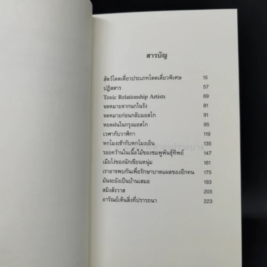 อาจไม่เหมาะหากเปราะบาง - จิดานันท์ เหลืองเพียรสมุท รูปที่ 10
