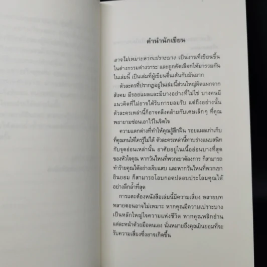 อาจไม่เหมาะหากเปราะบาง - จิดานันท์ เหลืองเพียรสมุท รูปที่ 9