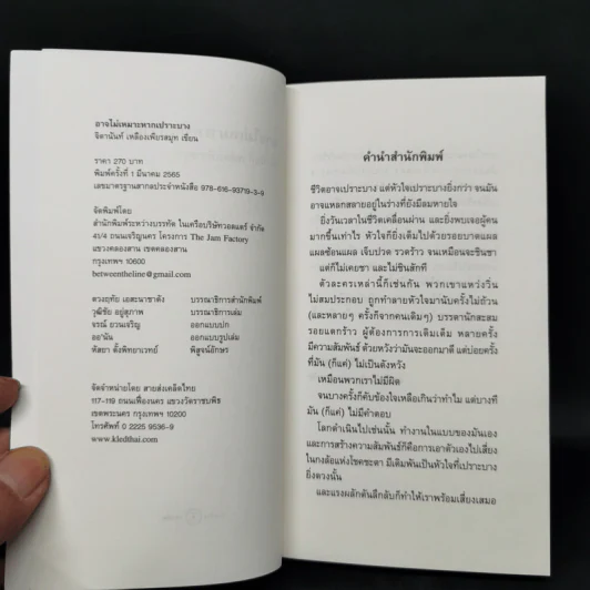 อาจไม่เหมาะหากเปราะบาง - จิดานันท์ เหลืองเพียรสมุท รูปที่ 8