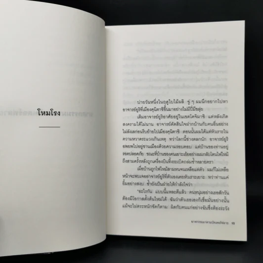ฆาตกรรมมาดามบัตเตอร์ฟลาย - โยโคมิโซะ เซซิ รูปที่ 11