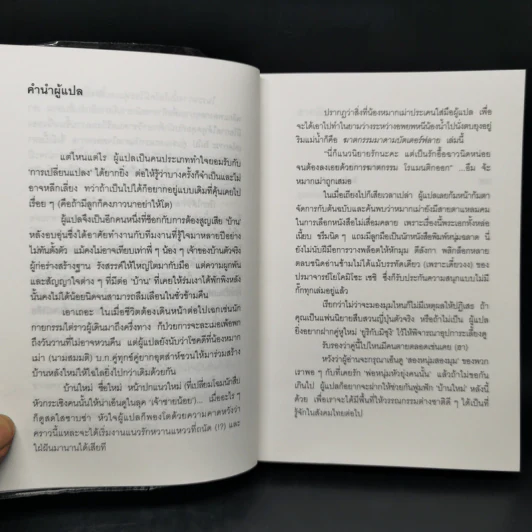 ฆาตกรรมมาดามบัตเตอร์ฟลาย - โยโคมิโซะ เซซิ รูปที่ 9