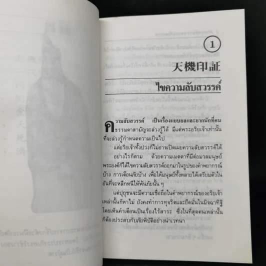 พระพุทธบรรพจารย์เทียนหยาน - ศุภนิมิต รูปที่ 11