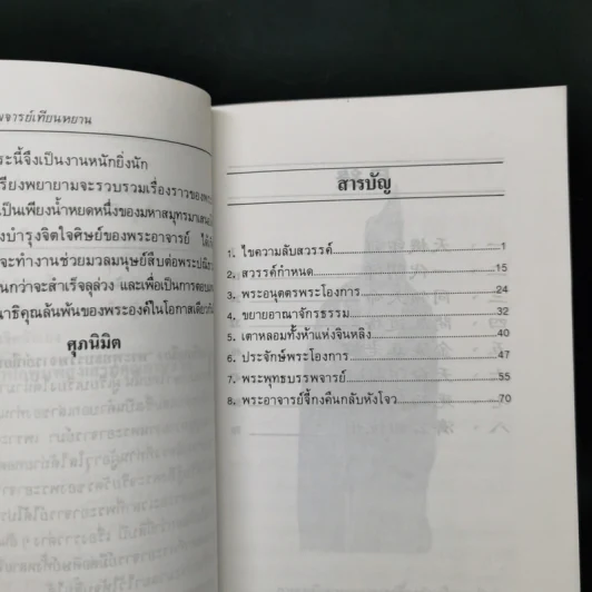 พระพุทธบรรพจารย์เทียนหยาน - ศุภนิมิต รูปที่ 10