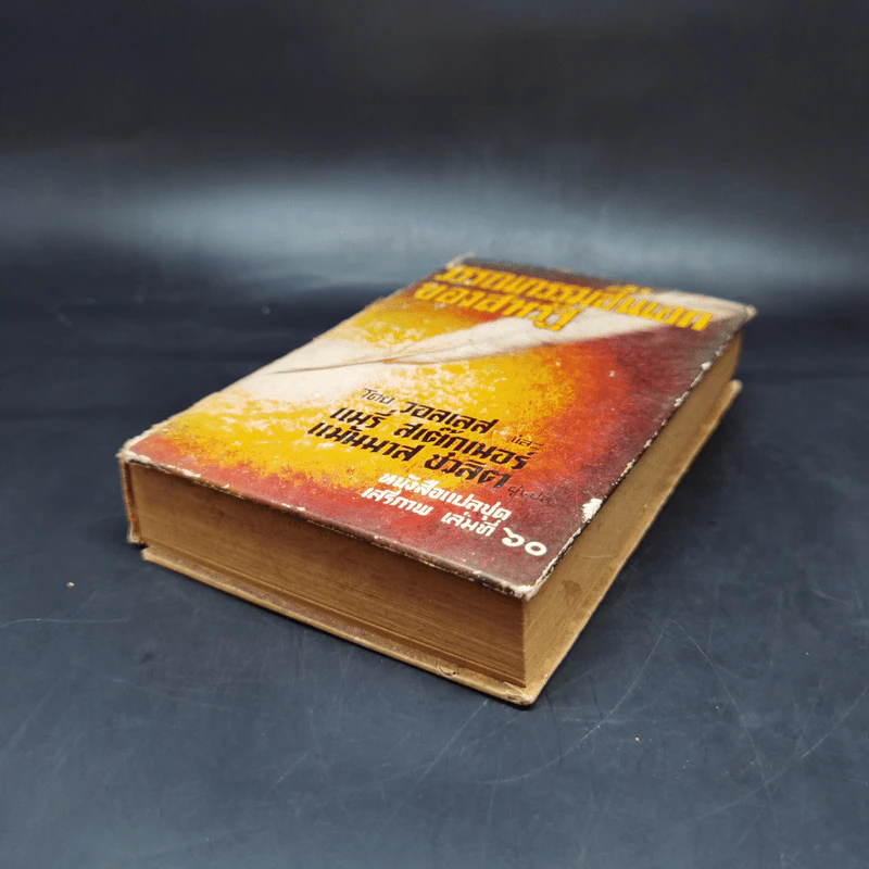วรรณกรรมชิ้นเอกของสหรัฐ หนังสือแปลชุดเสรีภาพ เล่มที่ 60 - วอลเลส, แมรี่ สเต็กเนอร์ รูปที่ 7