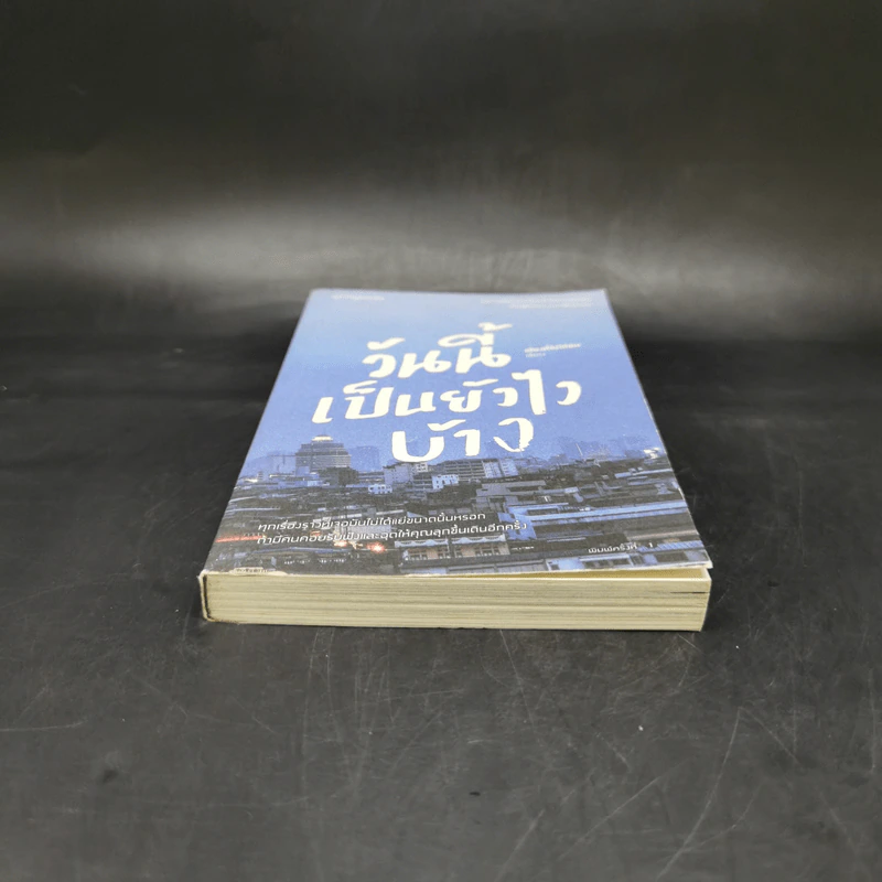 วันนี้เป็นยังไงบ้าง - เสียงที่ไม่ได้ยิน รูปที่ 4