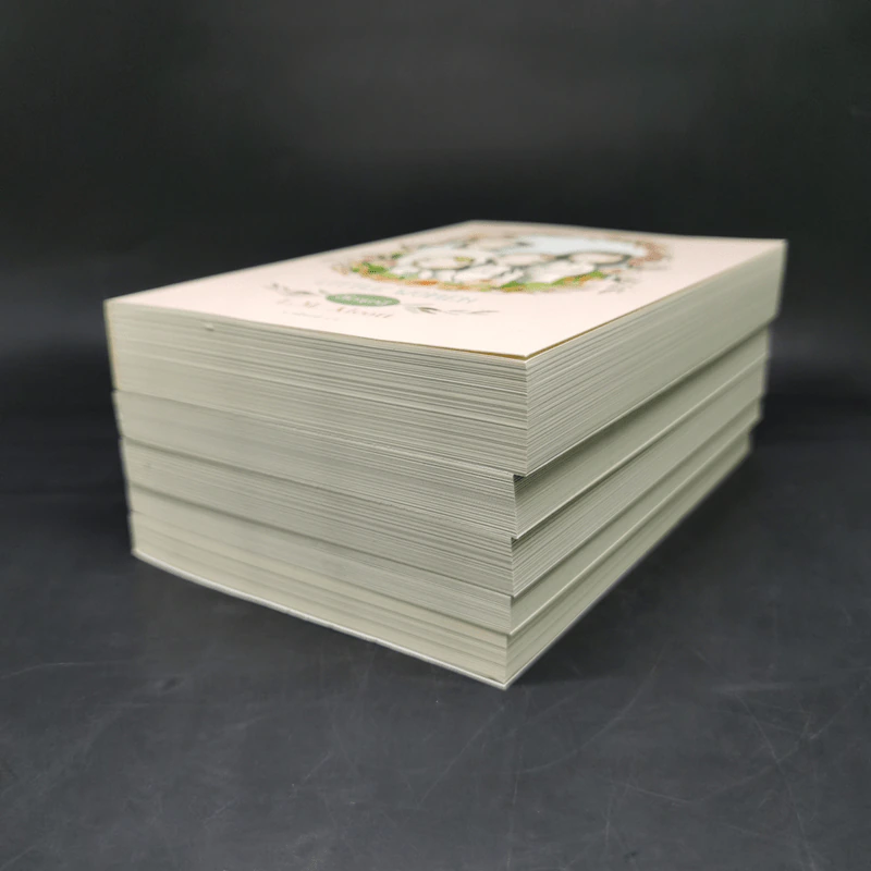 Box Set ชุดวรรณกรรมอมตะของโลก 5 เล่ม รูปที่ 9