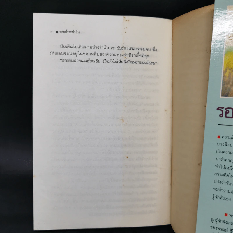 รอยย่ำระบำฝุ่น - จำลอง ฝั่งชลจิตร รูปที่ 9