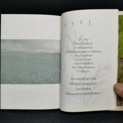 ดอกหญ้า คุณค่าในตัวเอง - นุสรณ์ รูปที่ 10