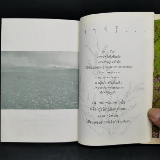 ดอกหญ้า คุณค่าในตัวเอง - นุสรณ์ รูปที่ 10