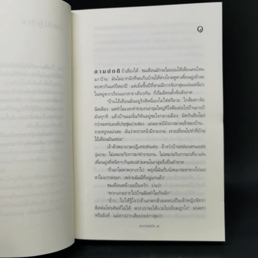 แกะรอยรัก - กิ่งฉัตร รูปที่ 8