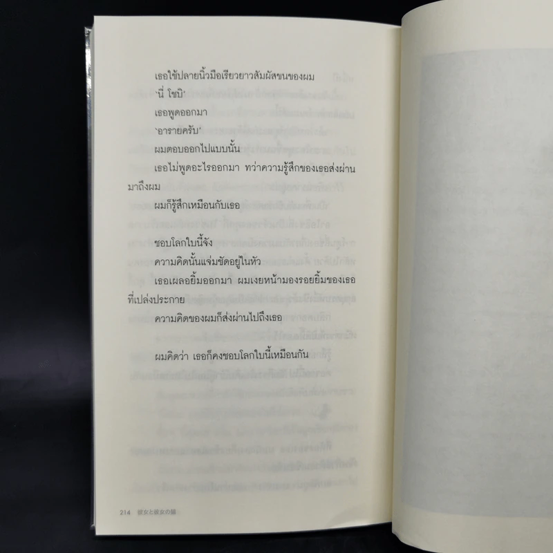 เธอและแมวตัวนั้น - Makoto Shinkai, Hara Naruki Nagakawa รูปที่ 11
