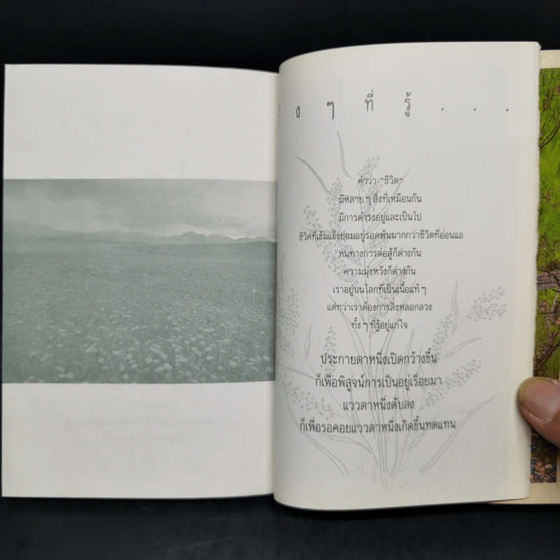 ดอกหญ้า คุณค่าในตัวเอง - นุสรณ์ รูปที่ 10