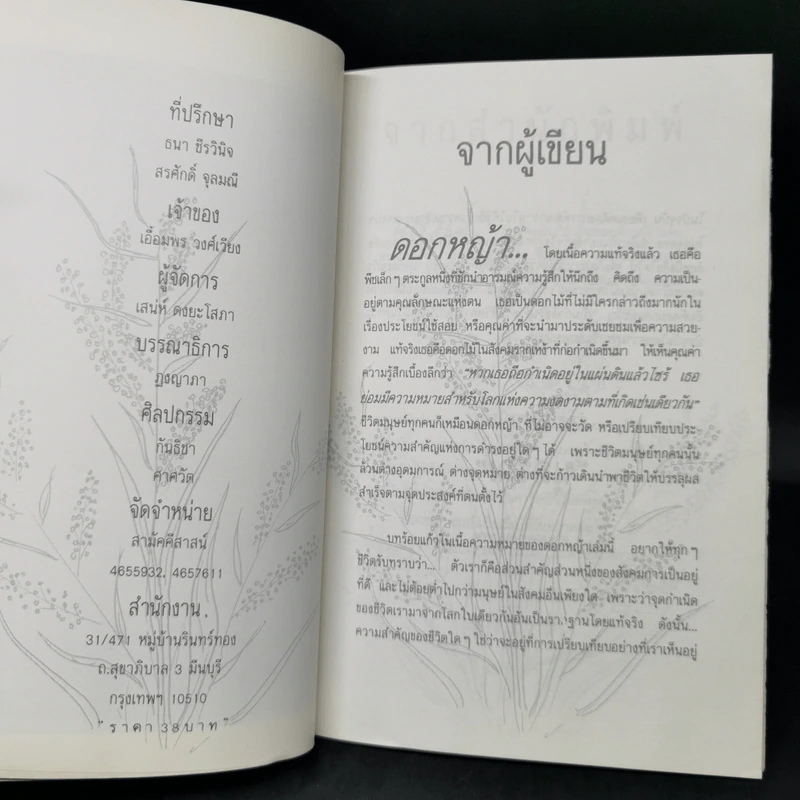 ดอกหญ้า คุณค่าในตัวเอง - นุสรณ์ รูปที่ 8