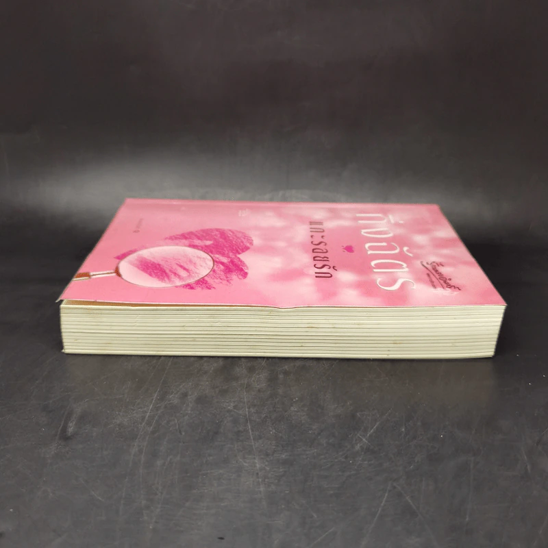 แกะรอยรัก - กิ่งฉัตร รูปที่ 5