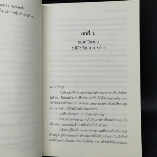 บ้านพักใจโอบไออุ่นทะเล - โมริซาวะ อากิโอะ รูปที่ 10