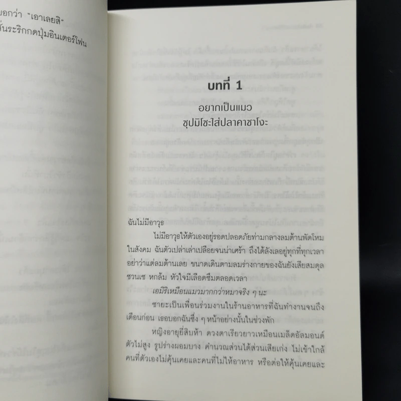 บ้านพักใจโอบไออุ่นทะเล - โมริซาวะ อากิโอะ รูปที่ 10