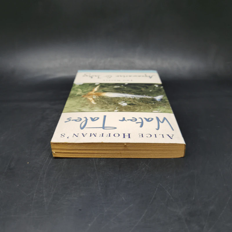 Water Tales - Alice Hoffman รูปที่ 6