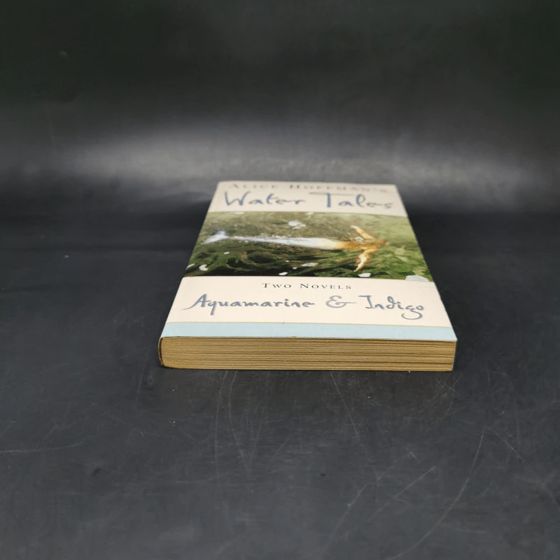 Water Tales - Alice Hoffman รูปที่ 4