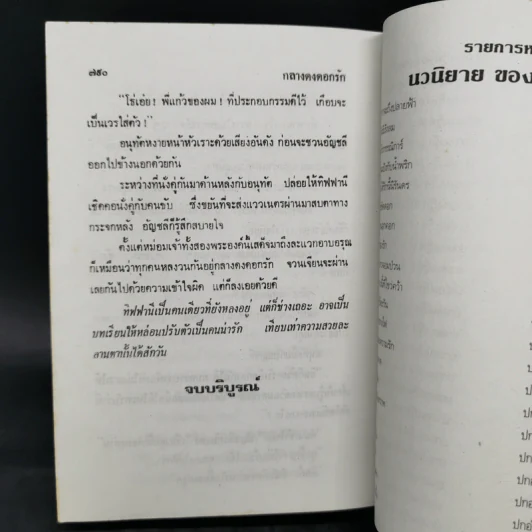 กลางดงดอกรัก - นลิน บุษกร รูปที่ 11