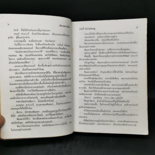 ปลายทางฝัน - จามรี พรรณชมพู รูปที่ 10