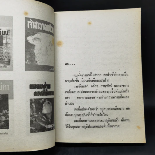 ทายาทสาว - นลิน บุษกร รูปที่ 9