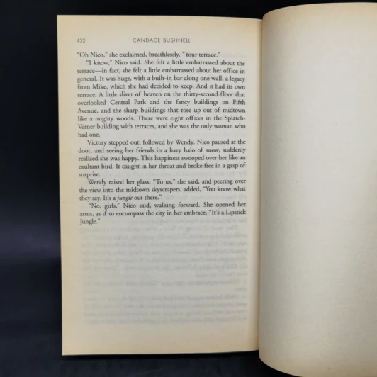 Lipstick Jungle - Candace Bushnell รูปที่ 10