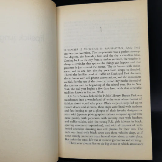 Lipstick Jungle - Candace Bushnell รูปที่ 9