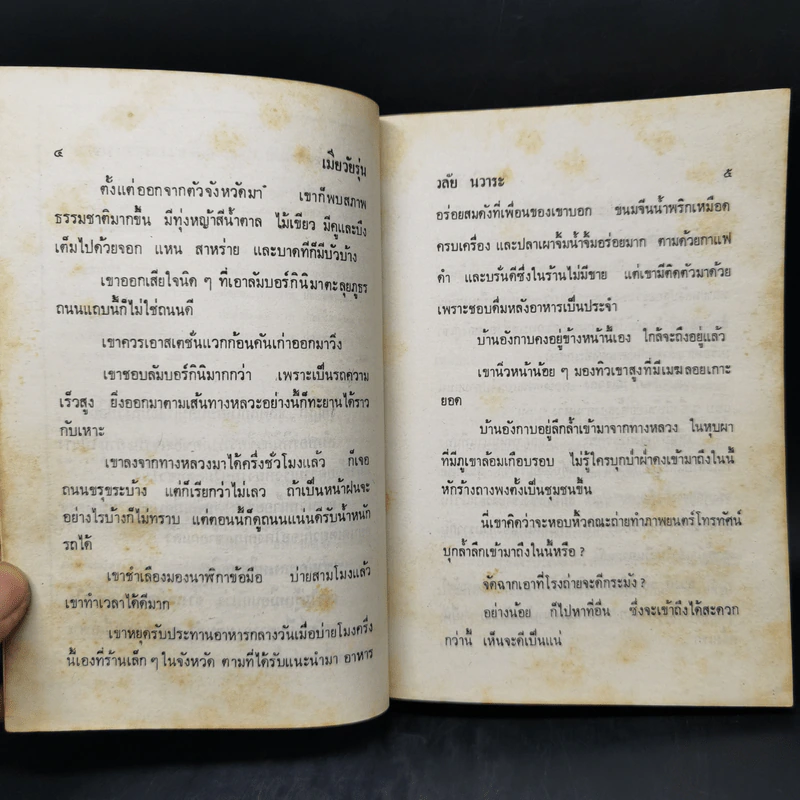 เมียวัยรุ่น - วลัย นวาระ รูปที่ 9