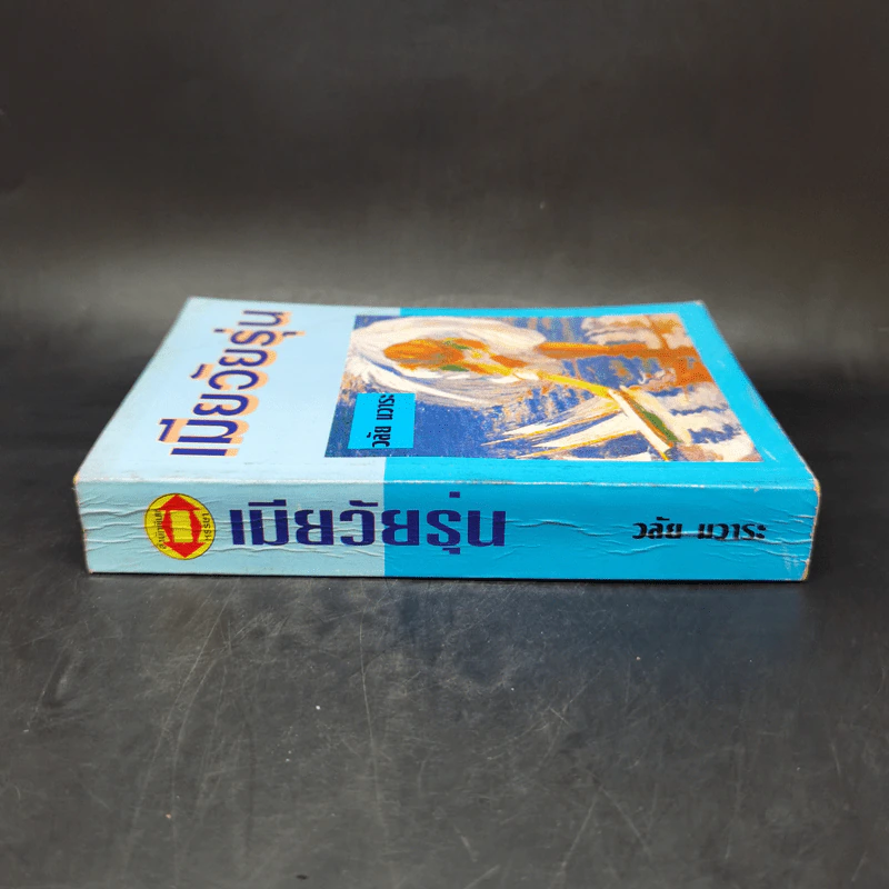 เมียวัยรุ่น - วลัย นวาระ รูปที่ 3