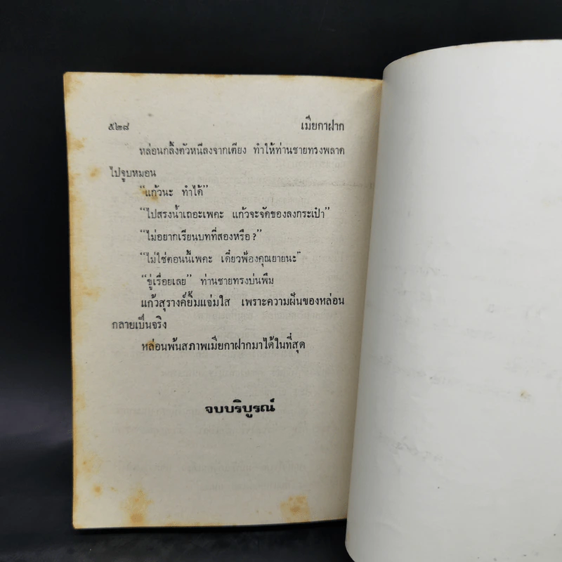 เมียกาฝาก - นลิน บุษกร รูปที่ 11