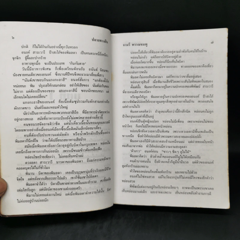 ปลายทางฝัน - จามรี พรรณชมพู รูปที่ 10