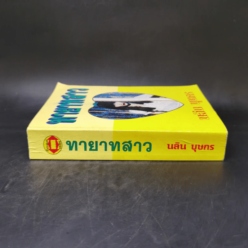 ทายาทสาว - นลิน บุษกร รูปที่ 3