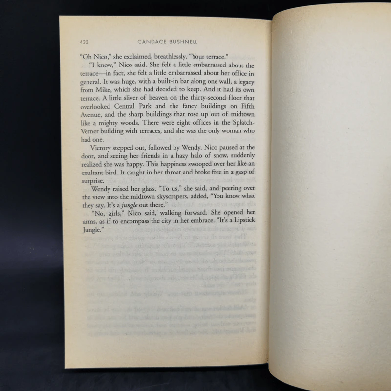 Lipstick Jungle - Candace Bushnell รูปที่ 10