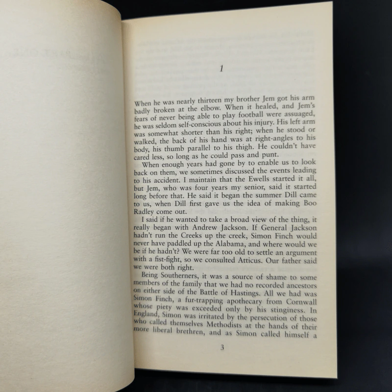 To Kill a Mockingbird - Harper Lee รูปที่ 10