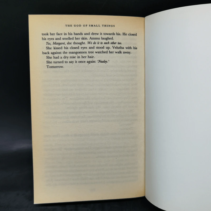 The God of Small Things - Arundhati Roy รูปที่ 11