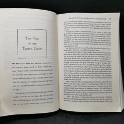 In the Cities of Coin and Spice - Catherynne M. Valente รูปที่ 10