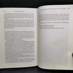 In the Cities of Coin and Spice - Catherynne M. Valente รูปที่ 11