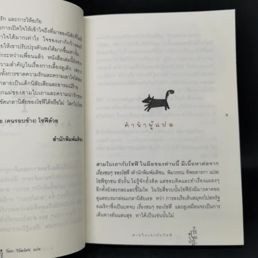 สามใบเถากับโซฟี - Comtesse de Segur, วัลยา รูปที่ 10