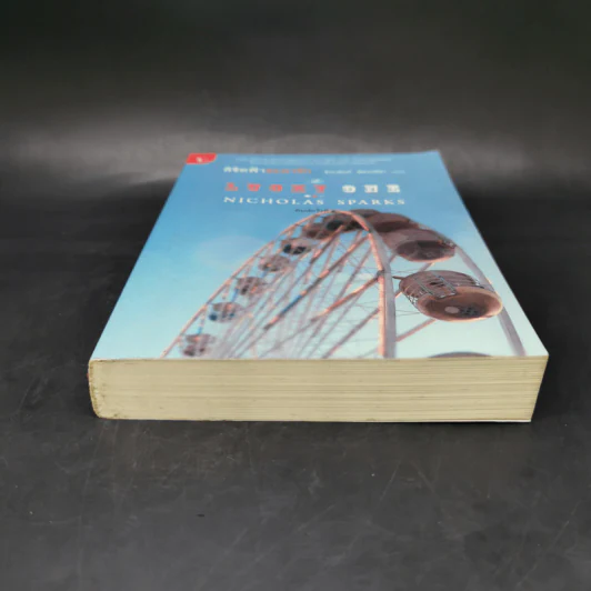 ลิขิตฟ้าชะตารัก - Nicholas Sparks รูปที่ 4