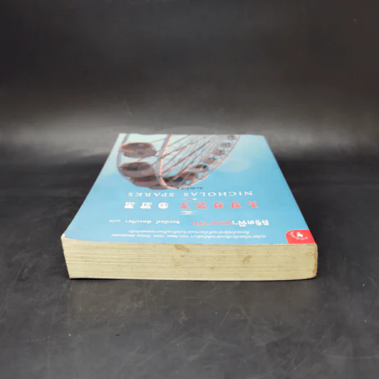 ลิขิตฟ้าชะตารัก - Nicholas Sparks รูปที่ 6